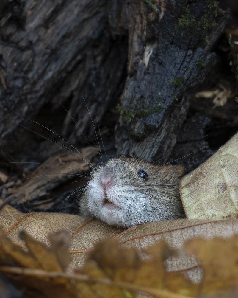 Фотография автора Сергей Затямин
