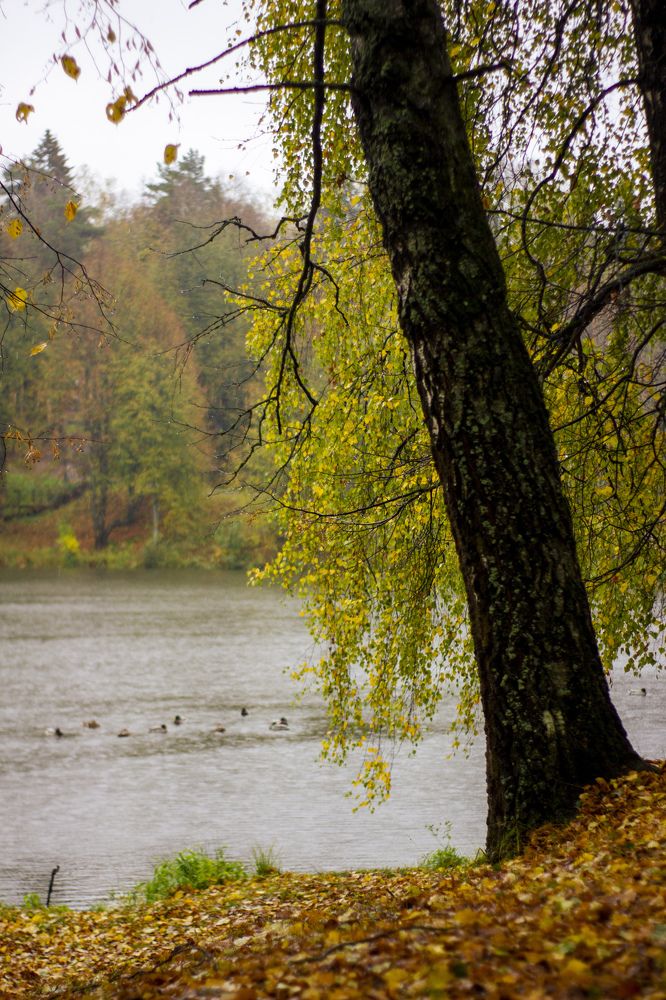 Photograph by Данил Борохтянов