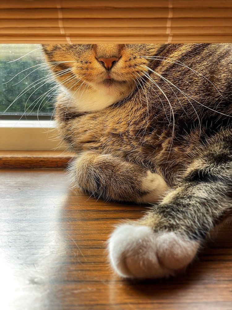 Фотография автора Nadezhda