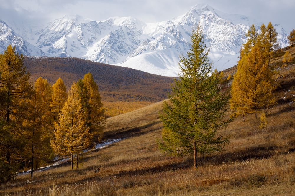 Осень. Алтай.