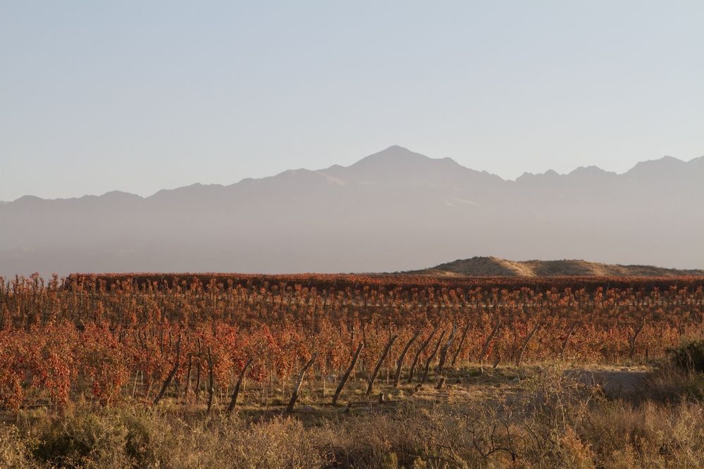 Photograph by Igor Kalassa