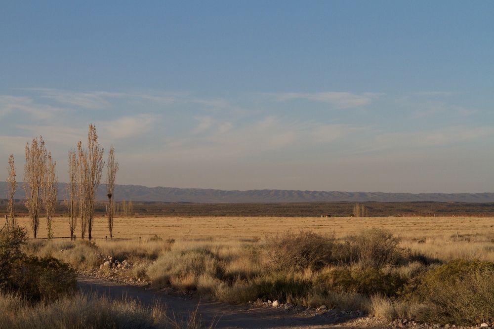 Photograph by Igor Kalassa
