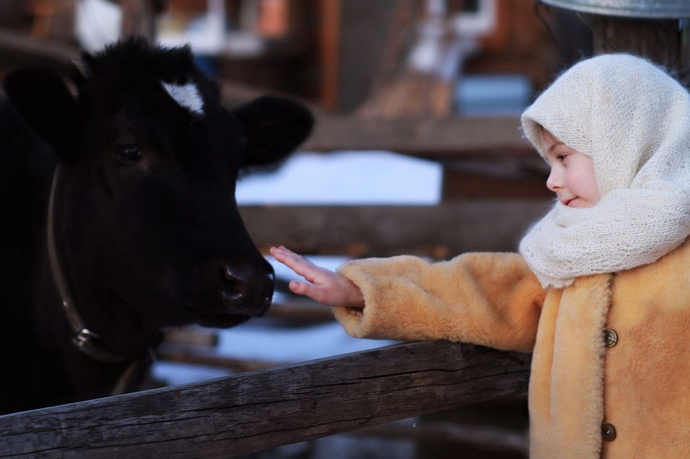 Фотография автора Галина Аверьянова