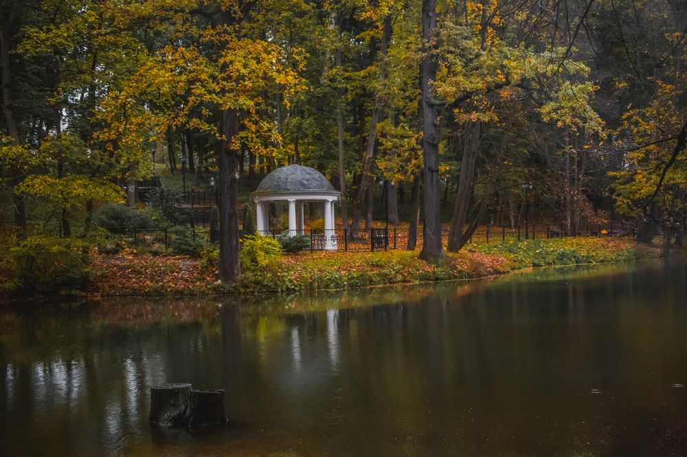 Photograph by Sodomelle Flavian