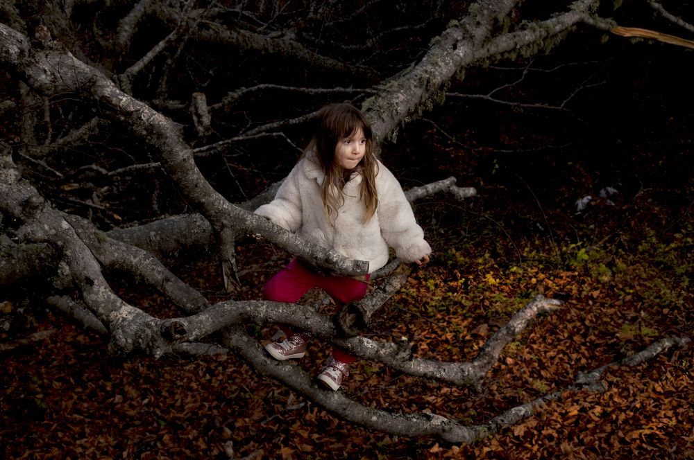 Photograph by Dimitar Denchev