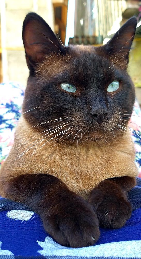 Photograph by Светлана Середина