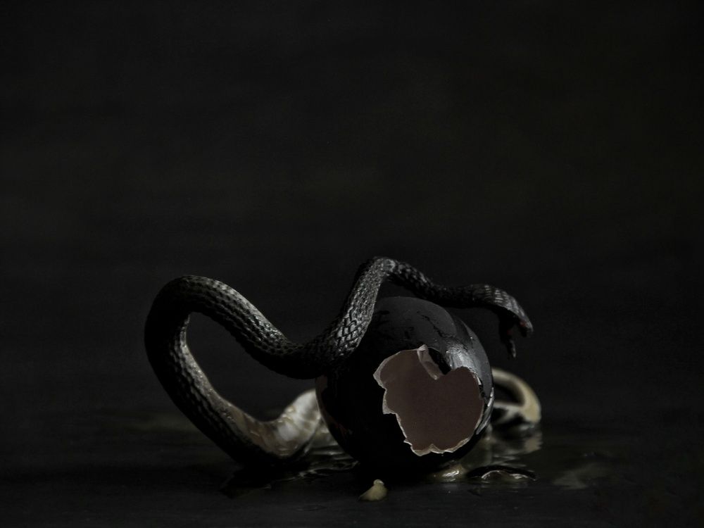 Photograph by Елена Доянова