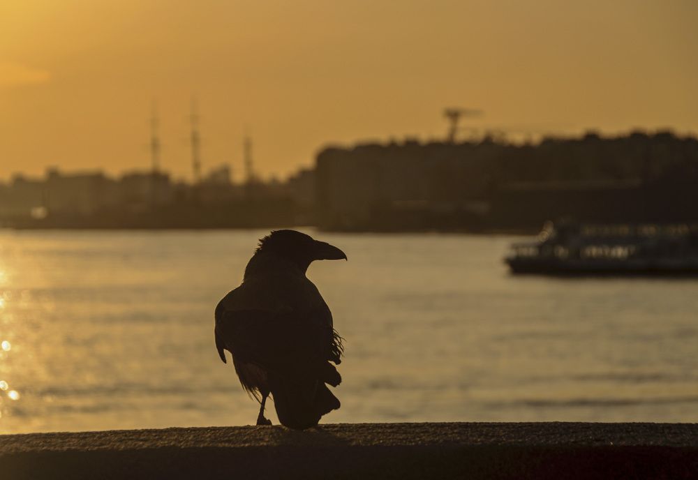 Photograph by Армашов-Тельник Григорий