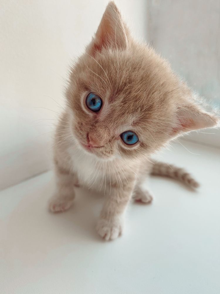 Photograph by Оксана Маракушина