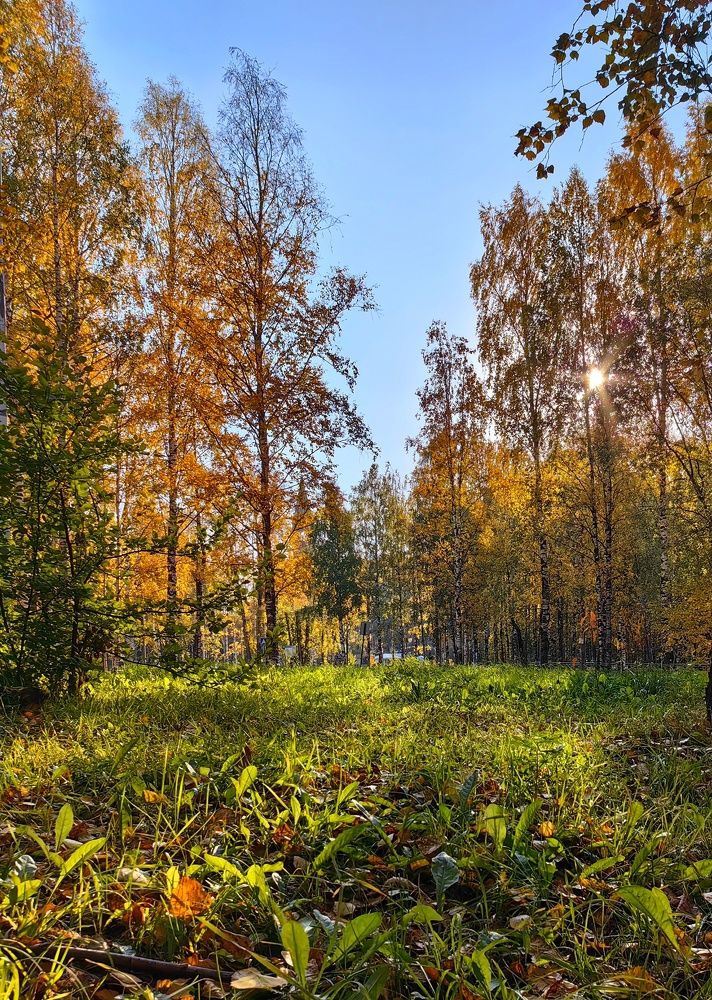 Photograph by Maiya Bulatova