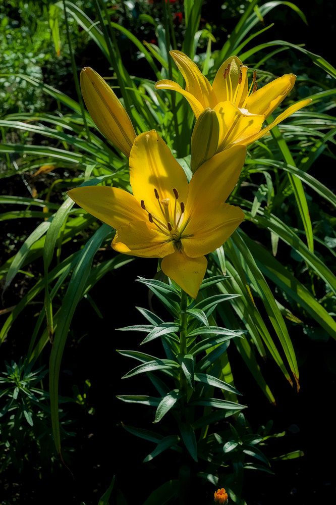 Photograph by Александр Удальчиков