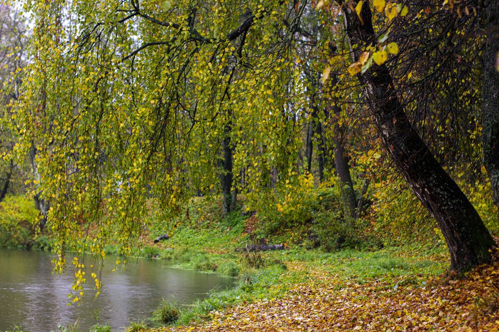 Photograph by Данил Борохтянов