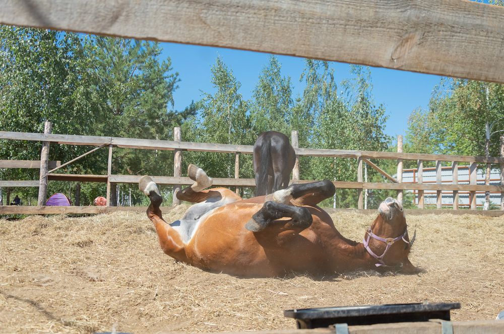 Photograph by Анна