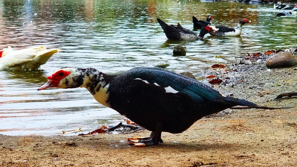 Photograph by Marie G