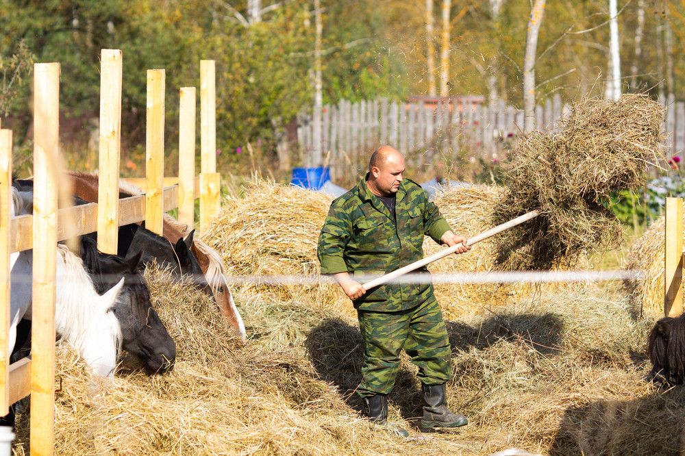 Photograph by Литвиненко Светлана