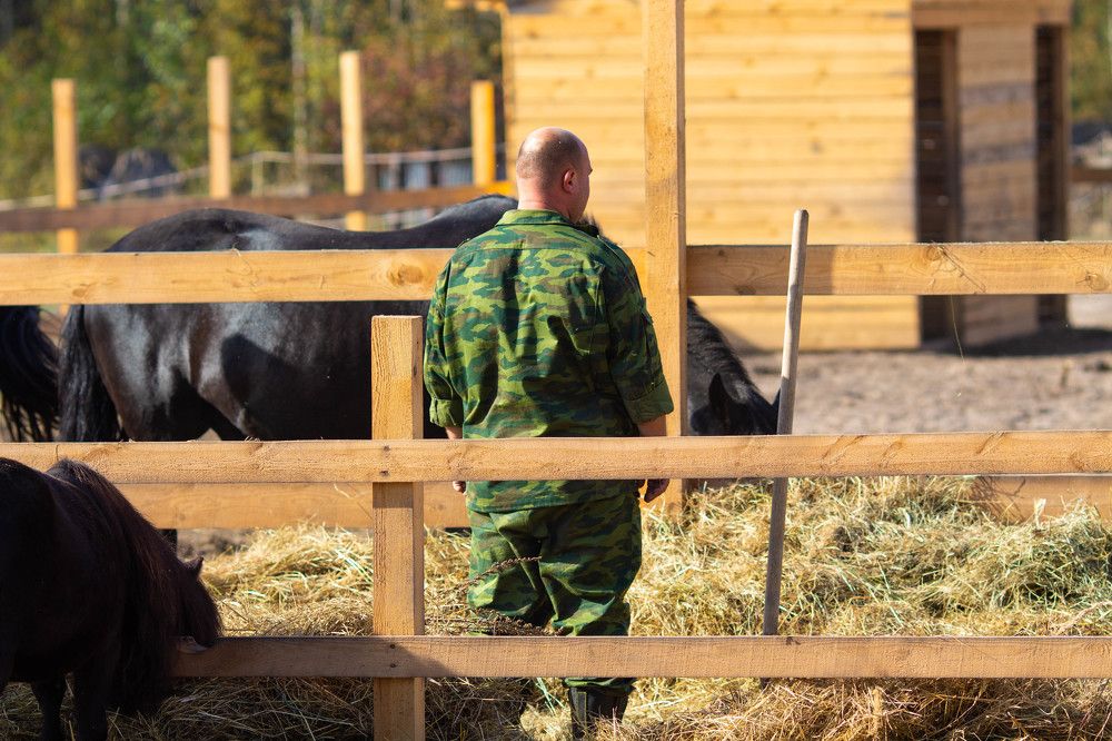 Photograph by Литвиненко Светлана