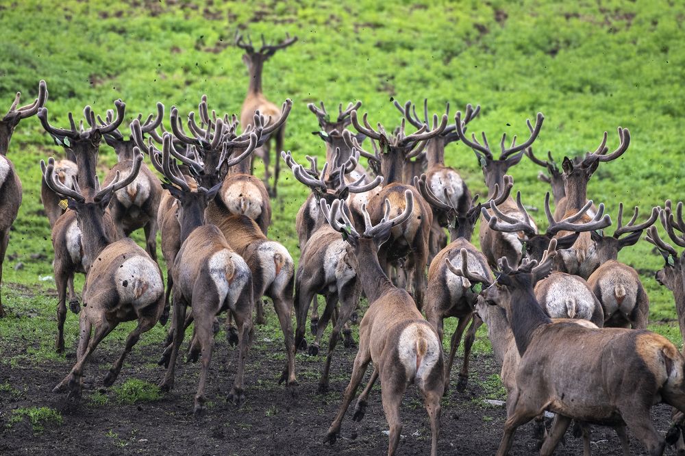 Photograph by Евгений Санин