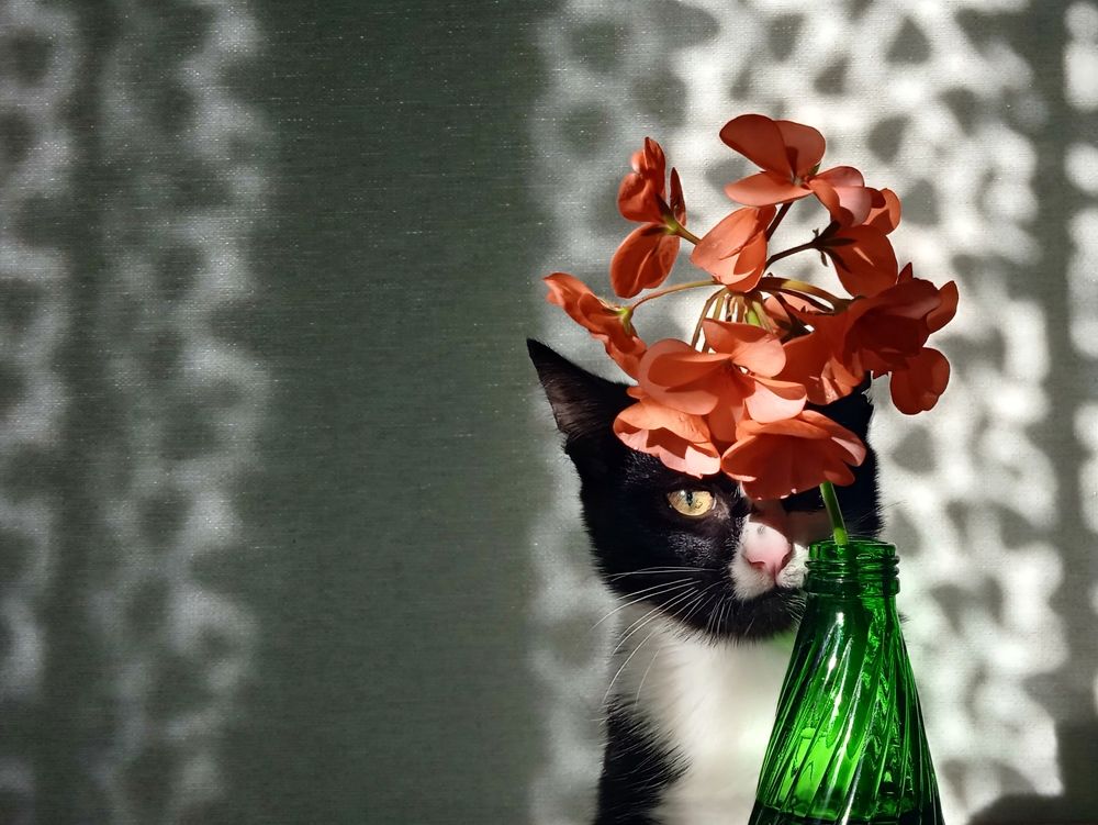 Photograph by Евсеева Валентина