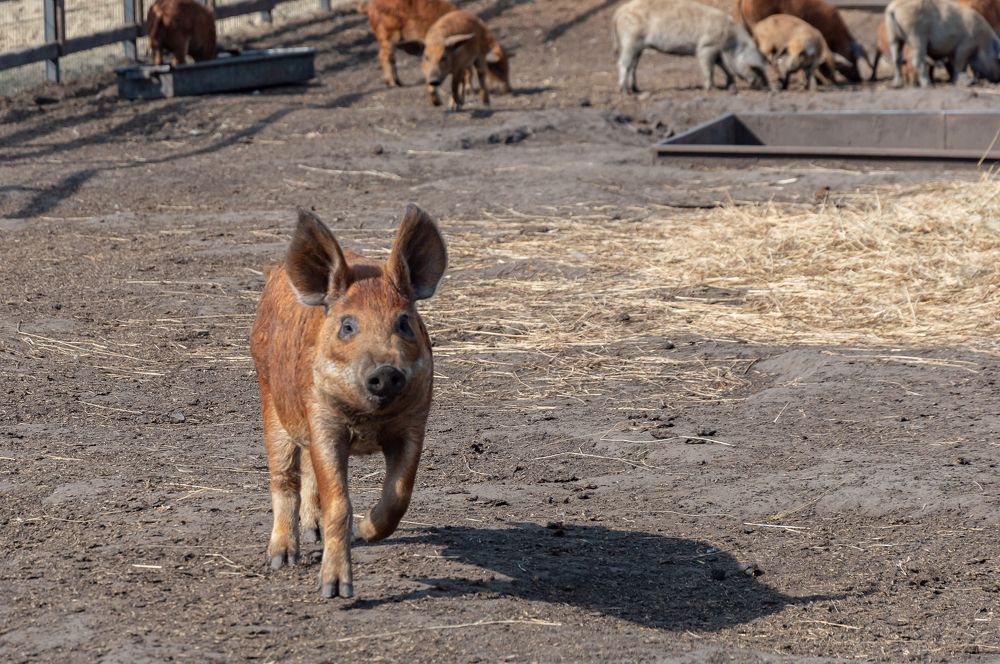 Photograph by Анна