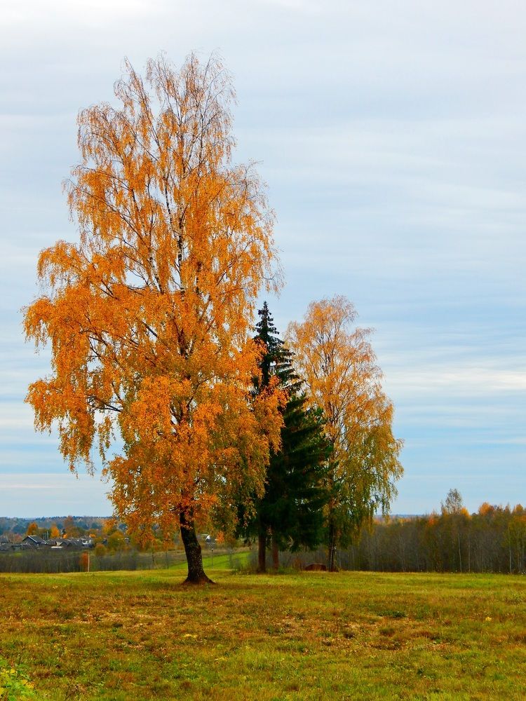 Photograph by 