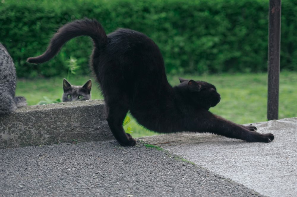 Photograph by Гюзель Даугуль