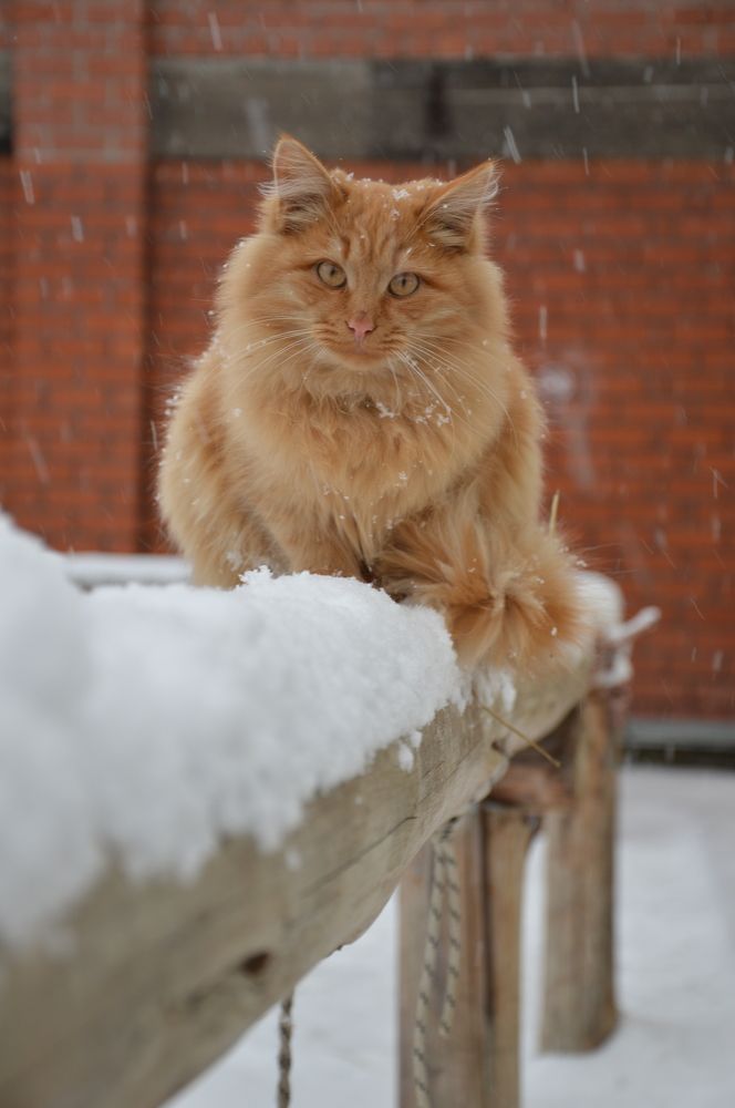 Photograph by Анна