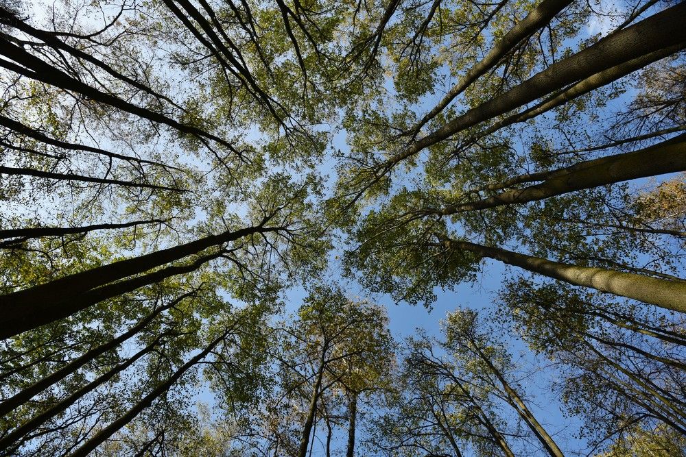 Photograph by Ольга Струкалина