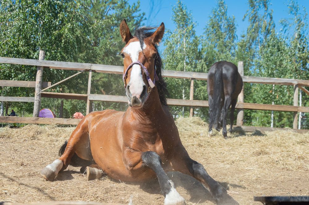 Photograph by Анна