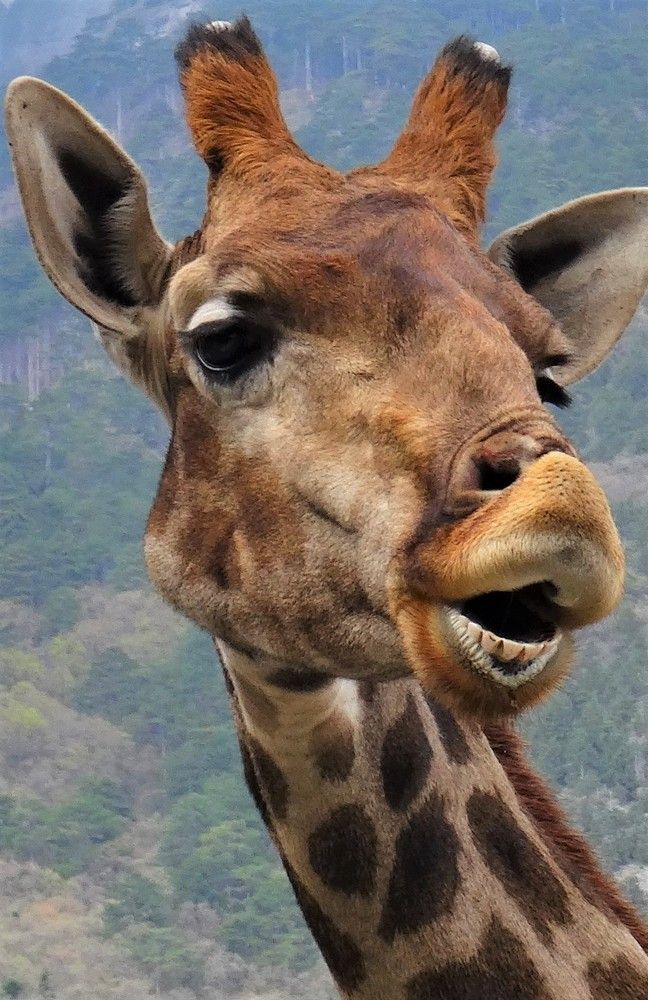 Photograph by Марина Раткун