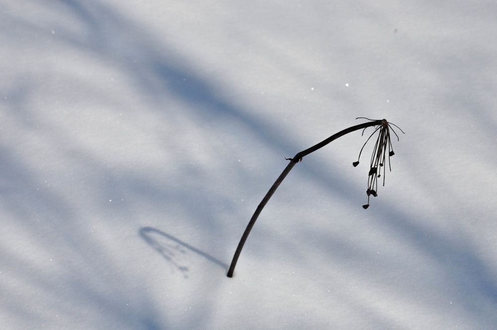 Photograph by Наталья Сорокина