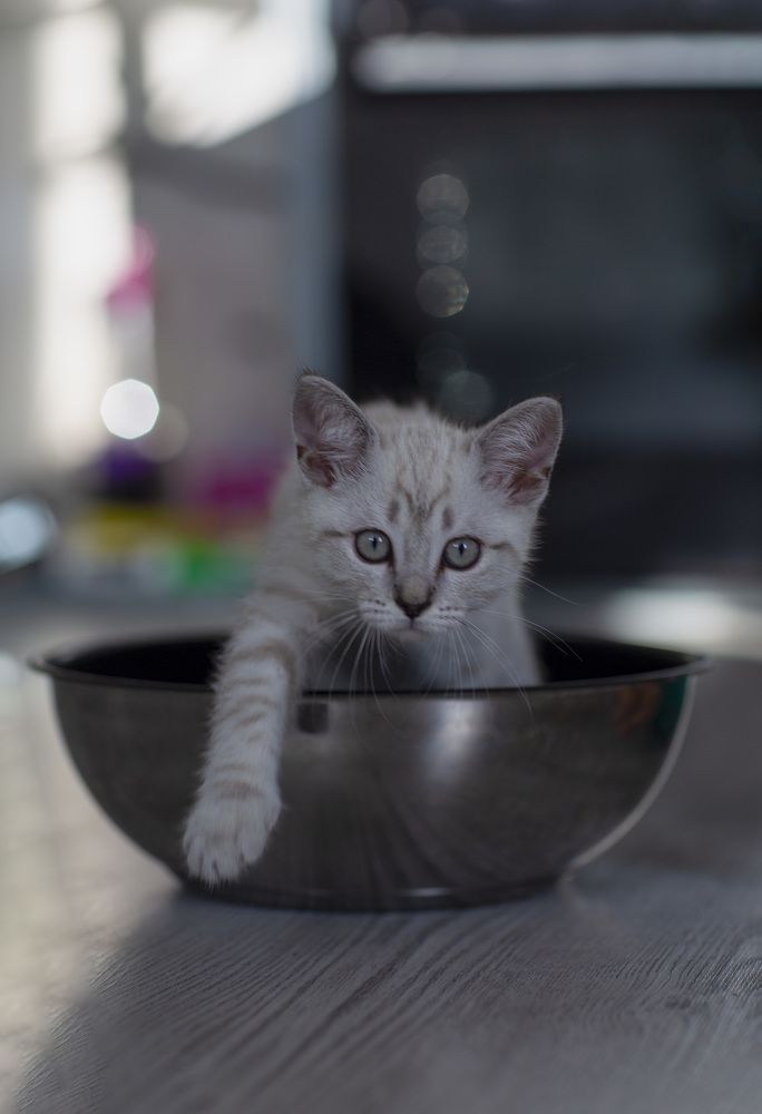 Photograph by Светлана Сиротина