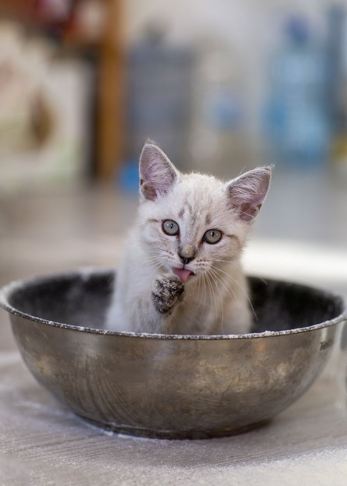 Photograph by Светлана Сиротина