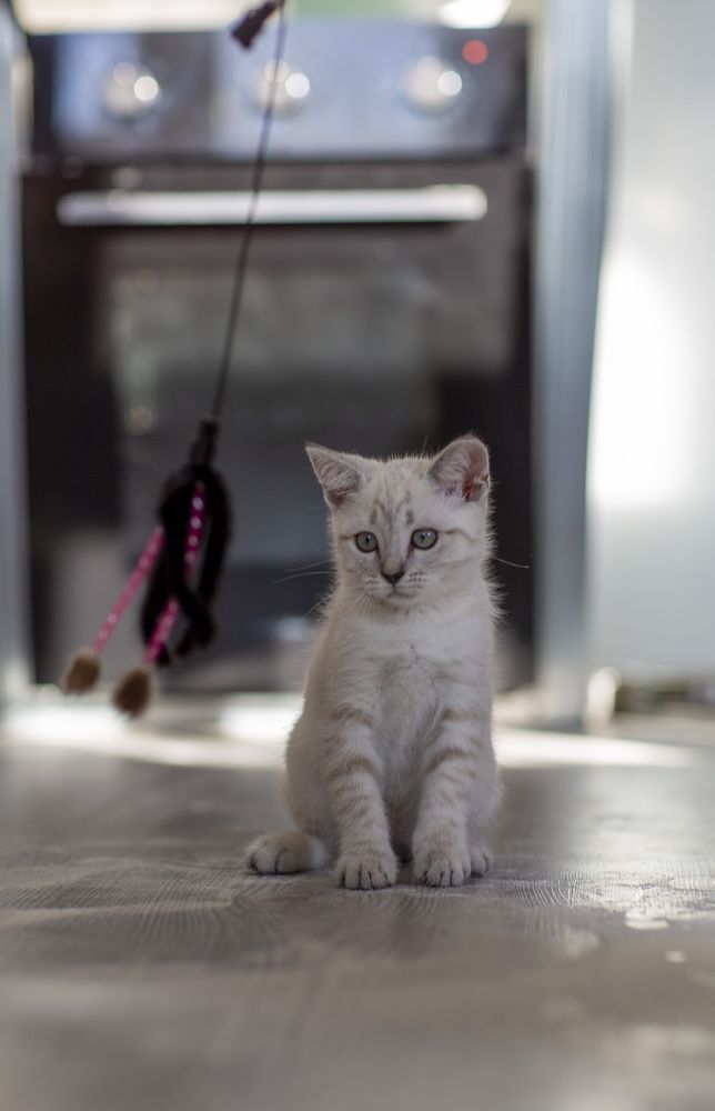 Photograph by Светлана Сиротина