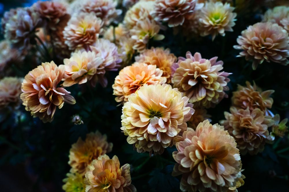 Photograph by Aleksandr Kolonsky