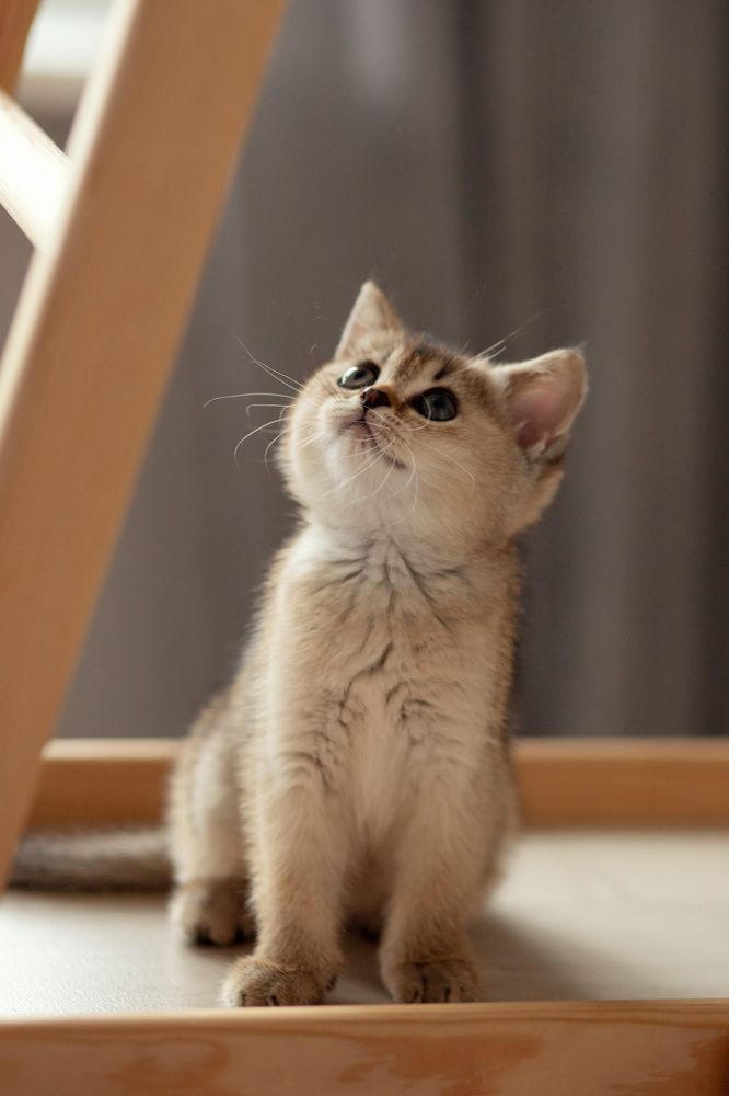 Photograph by Алла Аюпова