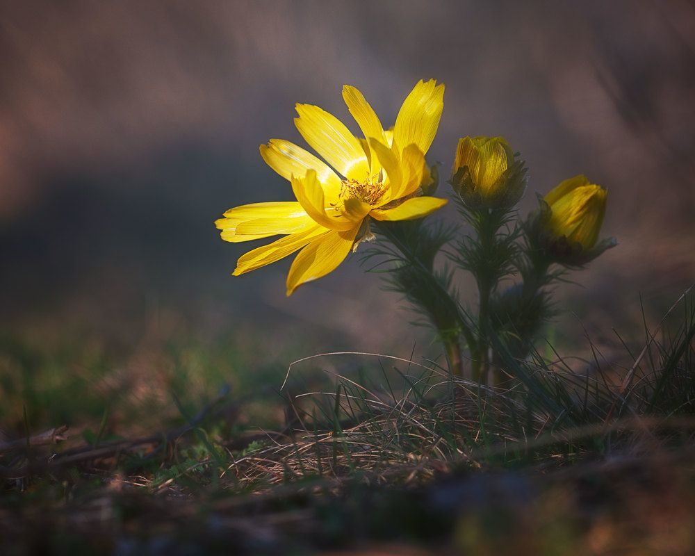 Photograph by Наташа Фирсова