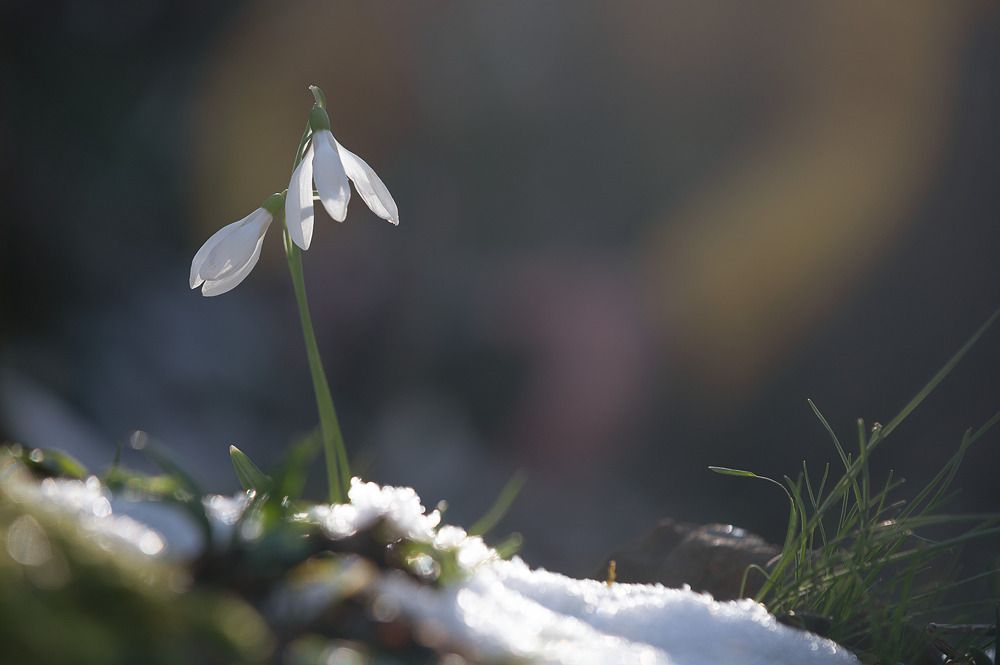 Photograph by Наташа Фирсова