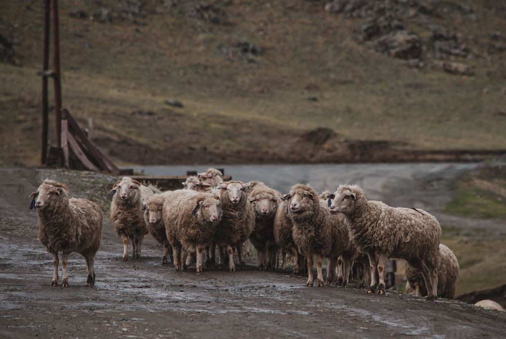 Photograph by Андрей Бобрюк