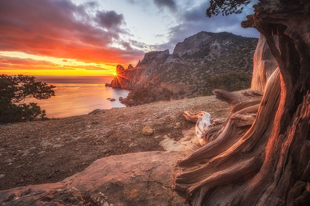 Photograph by Наташа Фирсова