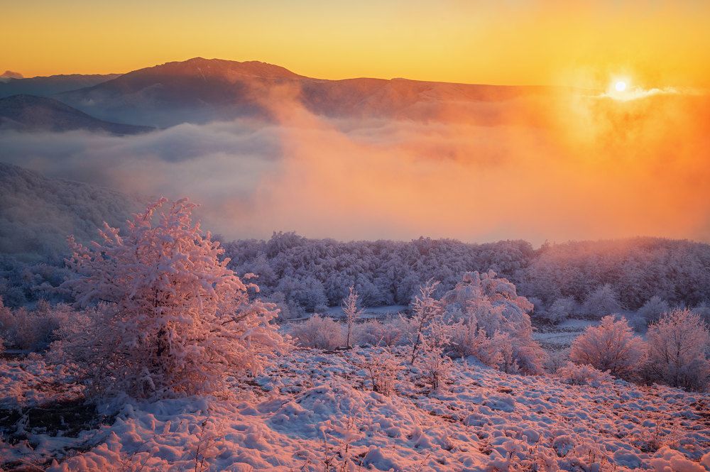 Photograph by Наташа Фирсова