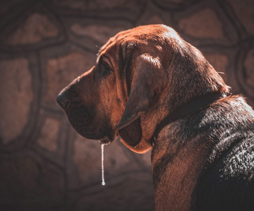 Photograph by Silvina Sánchez