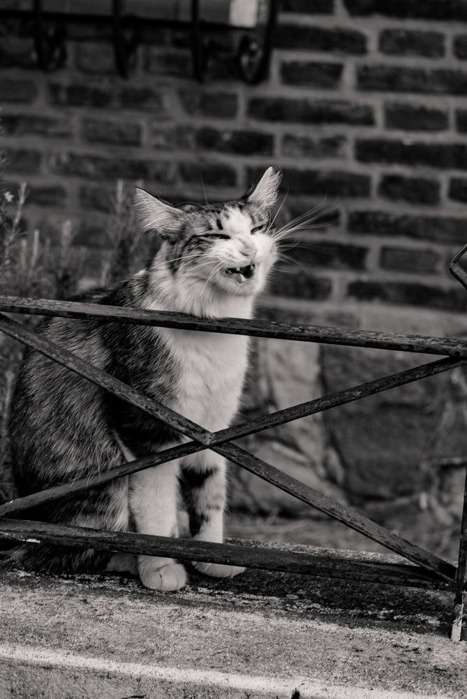 Photograph by Silvina Sánchez