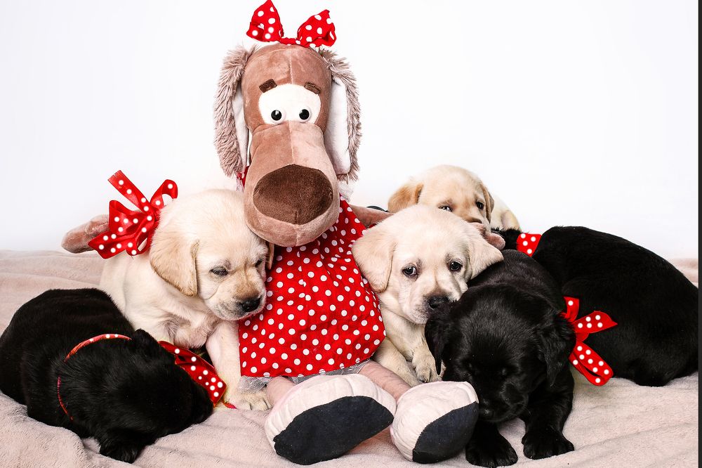 Photograph by Ольга Калимулина