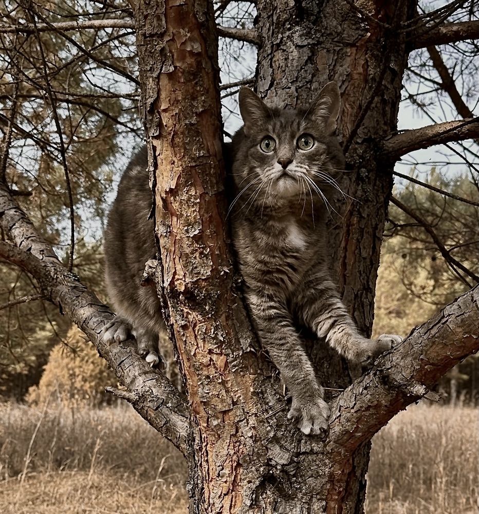 Photograph by Гуляева Светлана