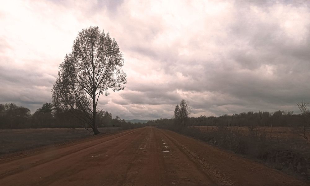 Photograph by lyudmila Soloveva