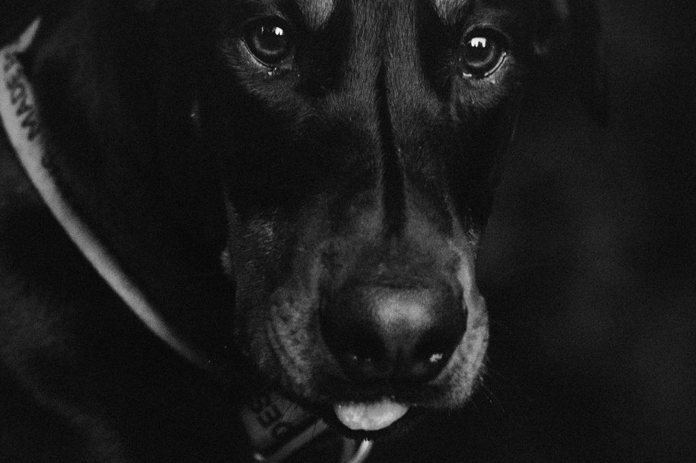 Photograph by Ангелина Ледовская