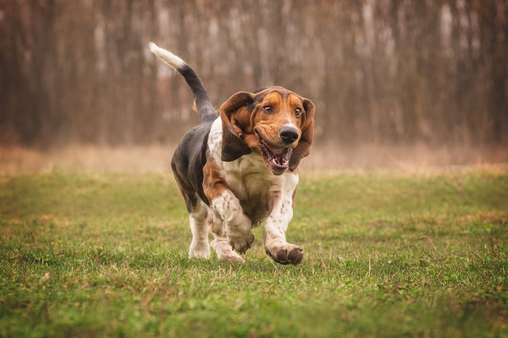 Photograph by Ангелина Ледовская