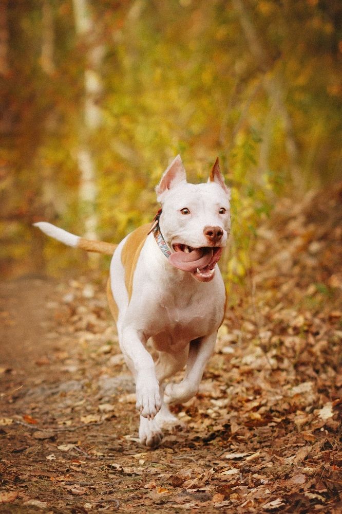 Photograph by Ангелина Ледовская