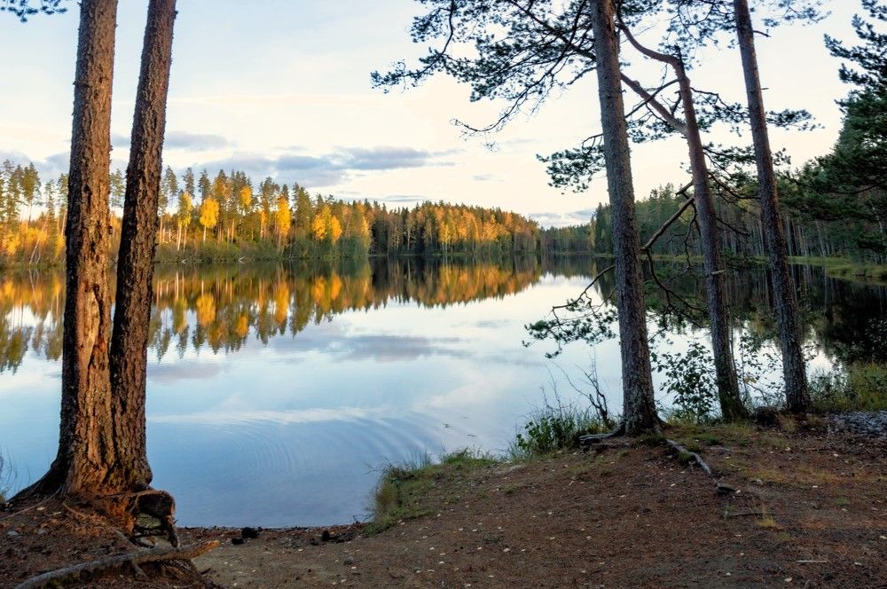 Photograph by Олег Менакер