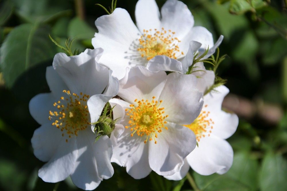 Photograph by Андрей Звездов